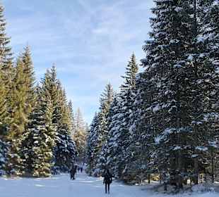 Wandern Leutasch