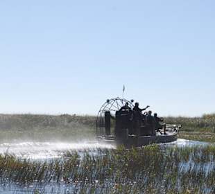 Ausflug in die Everglades