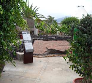 Die Pyramiden von Güimar