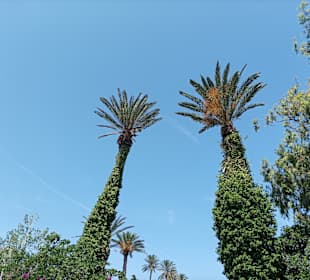 Hafen Rhodos