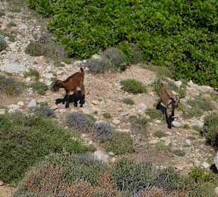 Another turist with his friend