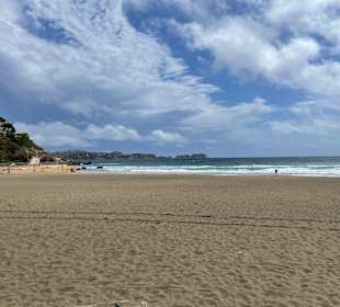 Strand Paguera/Peguera