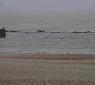 Strand Kolberg/Kolobrzeg