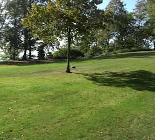 Burgruine Bussen Offingen