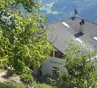 Wanderweg Keschtnweg