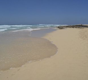 Parco naturale delle dune
