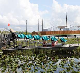 Airboat Gator Park