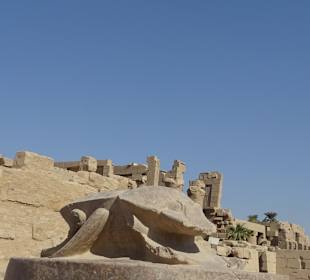 Tagesausflug nach Luxor ab Makadi Bay