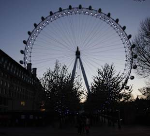 London Eye aus den Jubilee Gardens