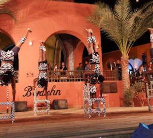 Super Live - Show unter'm Sternenhimmel