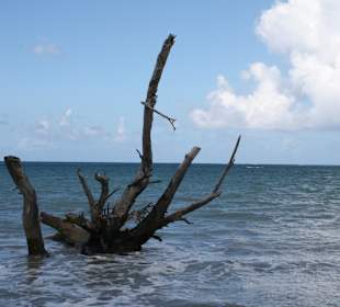 Auf dem Weg zur Lagune GriGri