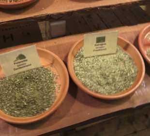 Spicy's Gewürzmuseum