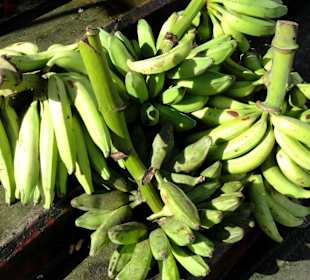 Gang über den Marché de la Darse