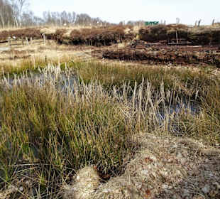 Torfabbau im Moormuseum