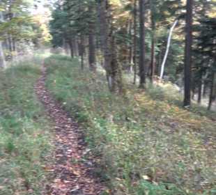 Geschichtslehrpfad Streichen