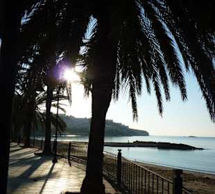 S morgens vroeg op de boulevzrd!