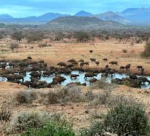 Ausblick Kilaguni Serena Safari Lodge