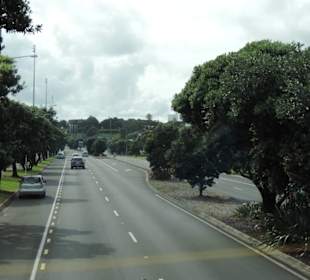 Mit dem Hop on Hop off Bus in Auckland unterwegs