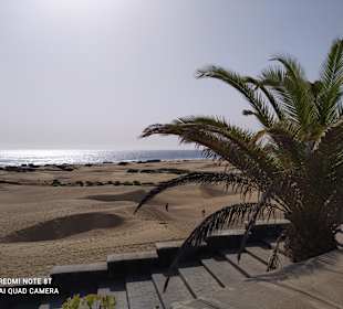 Dünen von Maspalomas
