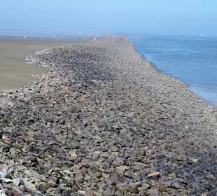 Der Leitdamm zur Elbe am Strand Döse