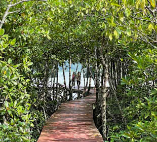 Privat-Transfer Peter Heim Koh Chang