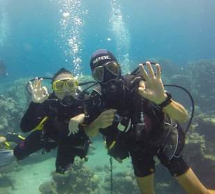 Tauchen mit Freunden