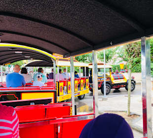 Can Picafort Express