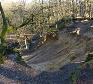 Abwechslungsreicher Weg