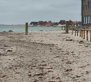 Hundestrand Heiligenhafen