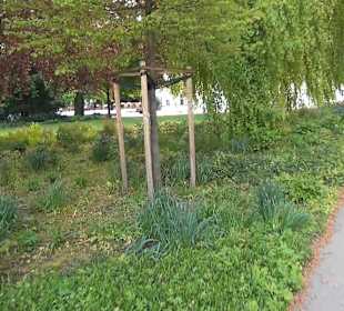 Königlicher Kurgarten