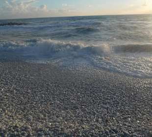 Марина де Пиза