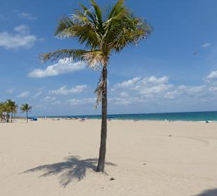 Strand Fort Lauderdale