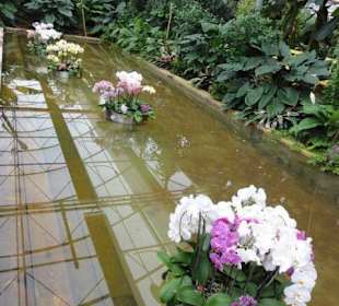 Raffeiner Orchideenwelt