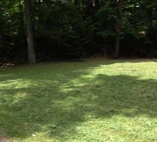 Wanderweg - Alter Steinbruch Pfaffenberg Runde