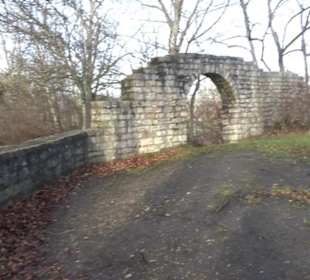 Ruine Hofen
