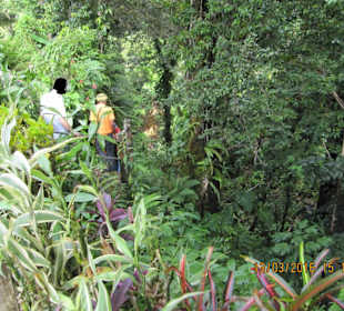 Teilweise glatte Stufen führen hinunter