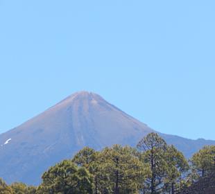 Teide