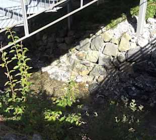 Audi Arena Oberstdorf