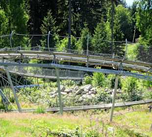 Die Strecke des Alpine Coasters