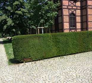Alte Turnhalle