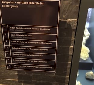 Museum Natur und Mensch