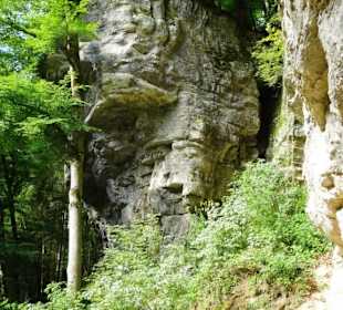 Wanderung durch die Kleine Luxemburger Schweiz
