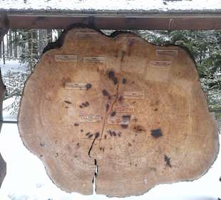 Naturpark Heidenreichsteiner Moor	