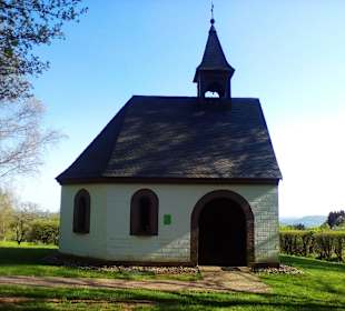 Panoramaweg Sankt Wendeler Land in Nonnweiler