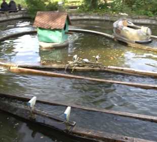 Erlebnispark Tripsdrill