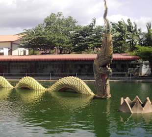 Mit der riesigen Schlange