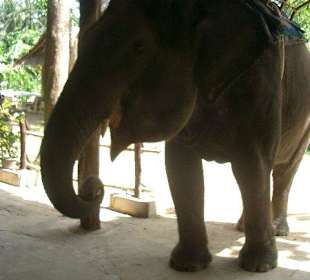 Gleich wird er gefüttert