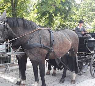 Wandern Baden-Baden