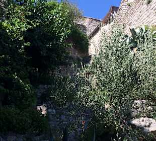 Wandern Grospierres