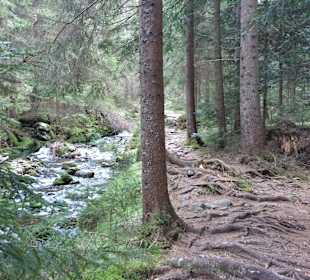 Wandern Lohberg